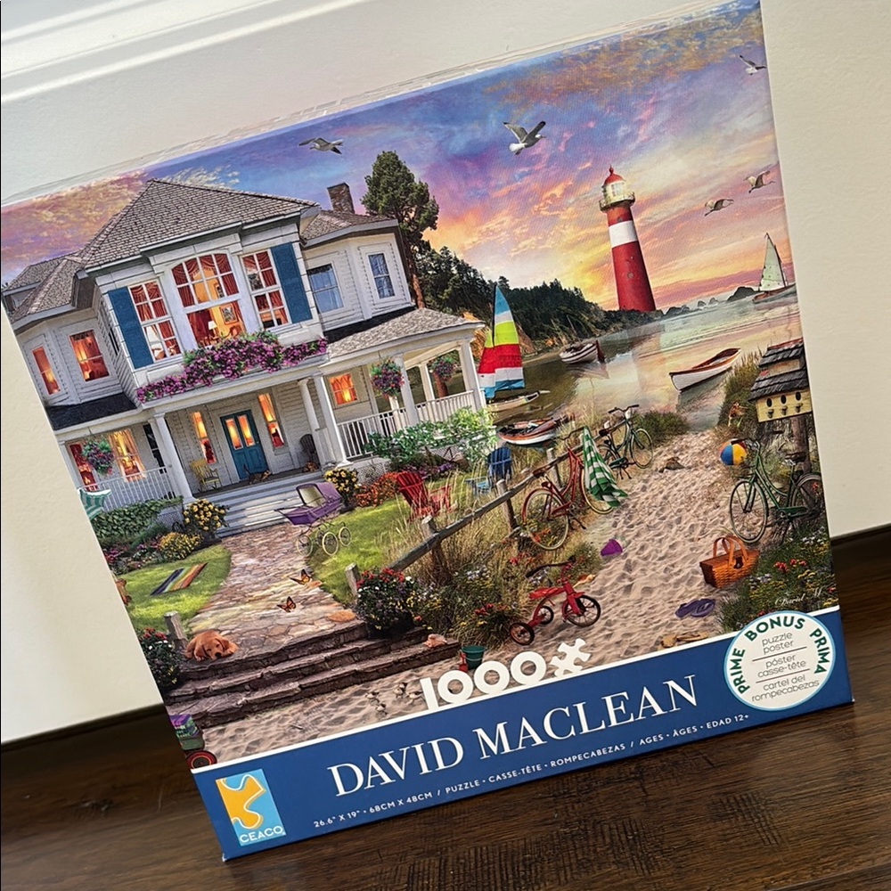 David‎ Maclean Beach House Vacation Travel 1000 Piece Jigsaw Puzzle Ceaco